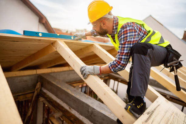 Best Roof Gutter Cleaning  in Arbuckle, CA